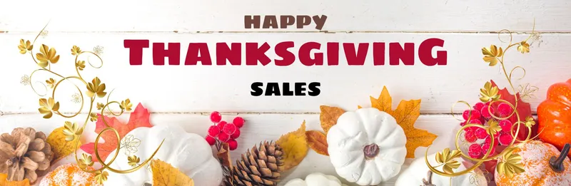 Thanksgiving Sales