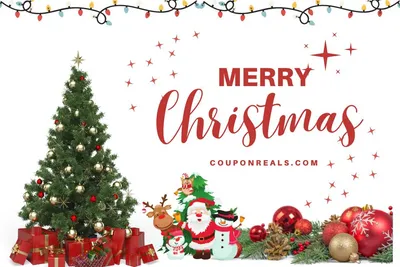Tips to Save Money When Buying Christmas Decorations