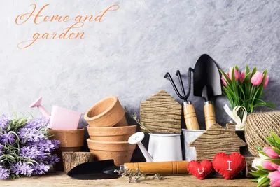 Top 10 Home and Garden Brands: Things Transforming Your Living Spaces