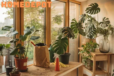 Top 7 Best Selling Products at Home Depot for 2023