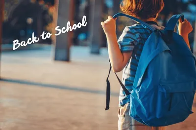 Top 10 Stores to Buy Back-to-School Products for an A+ Start!