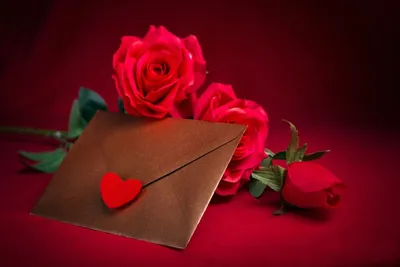 Unlocking Valentine's Day Savings: Where to Find Coupons for Your Romantic Shopping