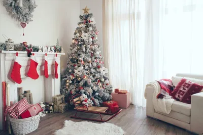 The Best Christmas Tree Farm Across the US to Finding Your Perfect Christmas Tree