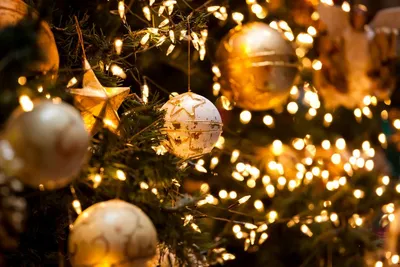Top Christmas Lights to Elevate Your Holiday Decor