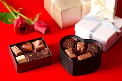 Sweet Romance Famous Chocolate Shops for Valentine's Day in 2026