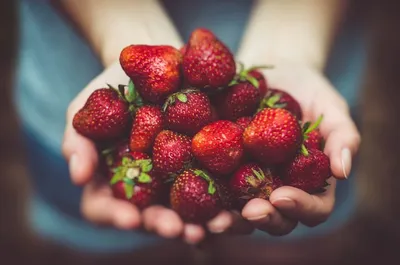 Healthy Foods That Help You Burn Calories