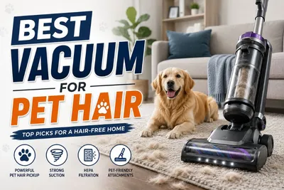 Tired of Pet Hair? Here Are the Best Vacuums That Actually Work