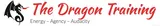 The Dragon Training
