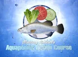 Aquaponics Design Course