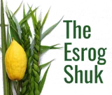 The Esrog Shuk