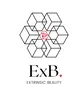 Extrinsic Beauty