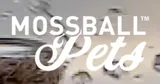 Moss Ball Pets