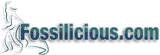 Fossilicious