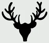 Shop Taxidermy