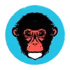 Polar Monkeys
