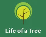 Life of a Tree
