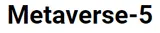 Metaverse 5