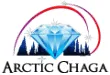 Arctic Chaga