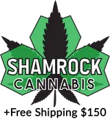 Shamrock Canna