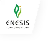 Enesis
