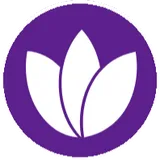 Webhost 365