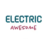 Electricawesome.com