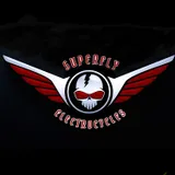 Superflyelectrocycle.com