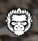 Holtzmans Gorilla Survival