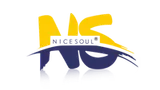 Nicesoul Furniture