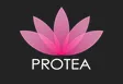 Protea Hair