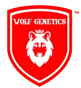 Wolf Genetics