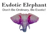 Exotic Elephant
