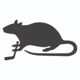 River Rat Hockey