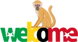 Localcaribbeantours.com