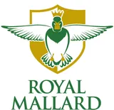 Royal Mallard
