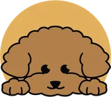 Poodle Corner