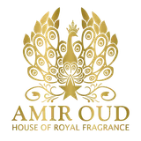 Amir Oud