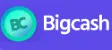 Bigcashweb