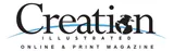 Creation Illustrated