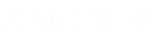 The Nomadik