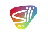 Silipint