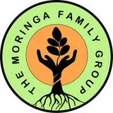 The Moringa Family Group