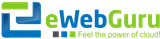 EwebGuru