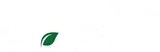 Wave V