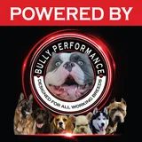 Bully Performance