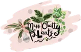 Miss Chatty Plants