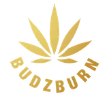 Budzburn