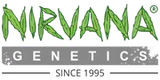 Nirvana Shop