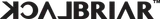 BlackBriar USA