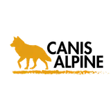 Canis Alpine